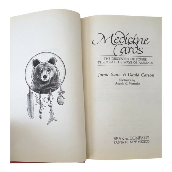 Medicine Cards Discovery of Power Throughout Ways of Animals Book Cards Vtg1988 - Picture 9 of 14